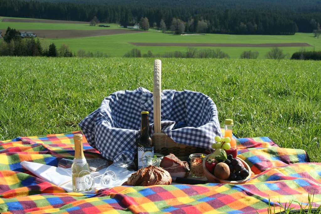 Falkensteiner Hotel Bad Leonfelden Superior (Adults Only) Comodidades foto